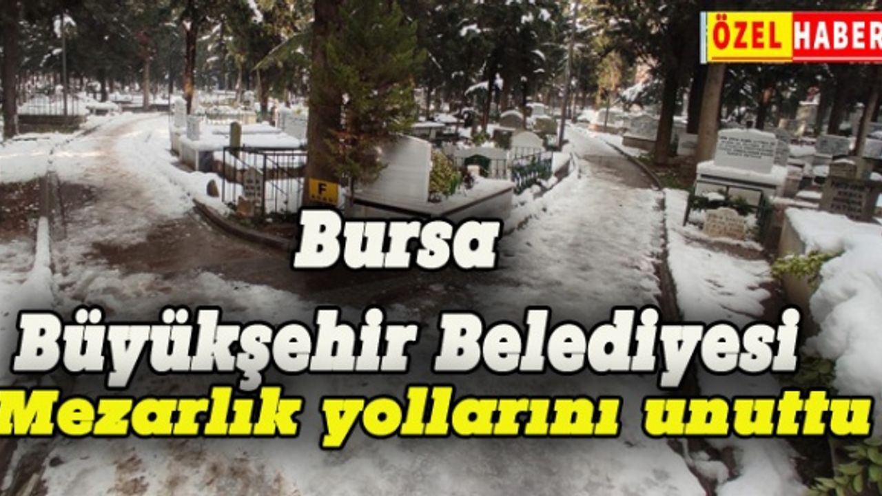 Bursa Büyükşehir mezarlıkları unuttu!