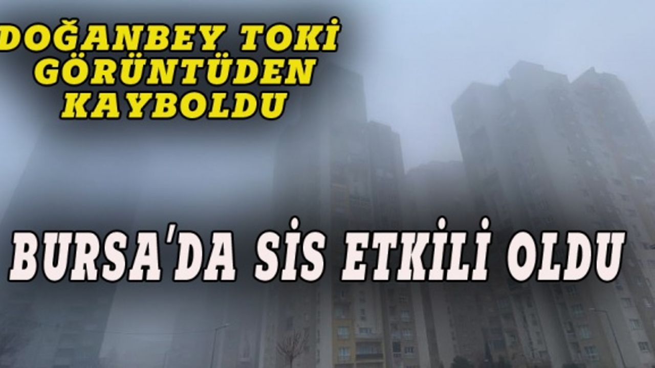 Bursa'da sis etkili oldu, Doğanbey Toki ortadan kayboldu!