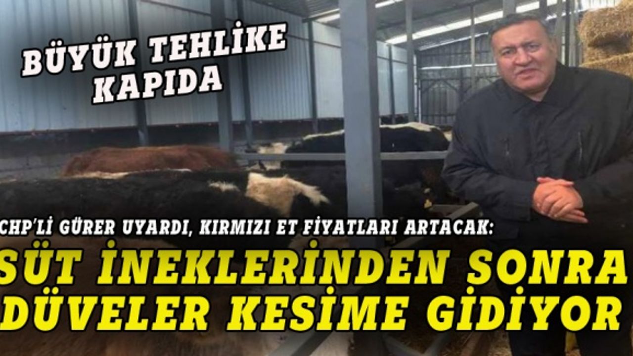 CHP'li Gürer: Sütten sonra ette de sıkıntı yaşanacak