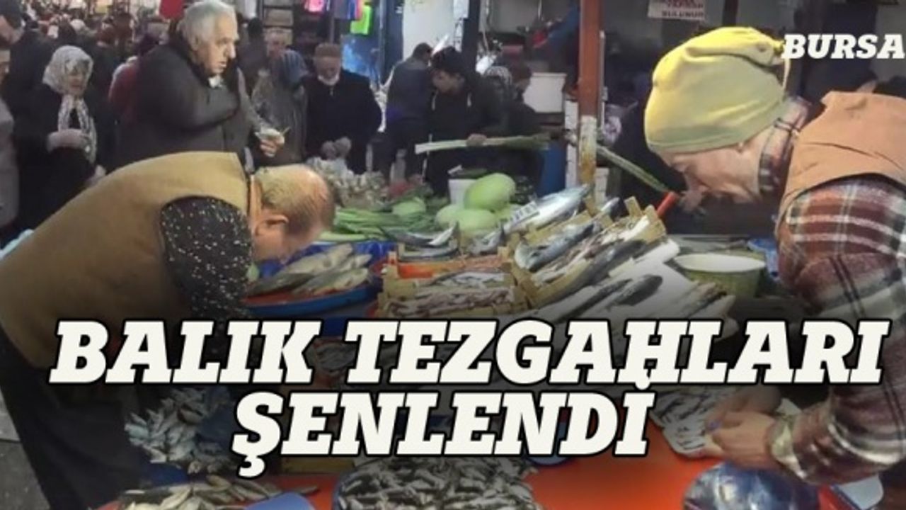 Bursa'da balık tezgahları şenlendi