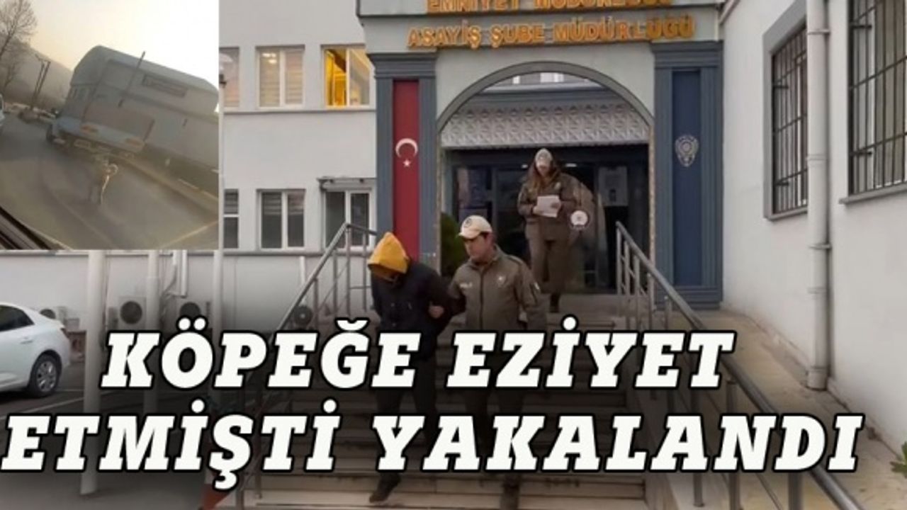 Bursa'da köpeğe eziyet eden şahıs yakalandı
