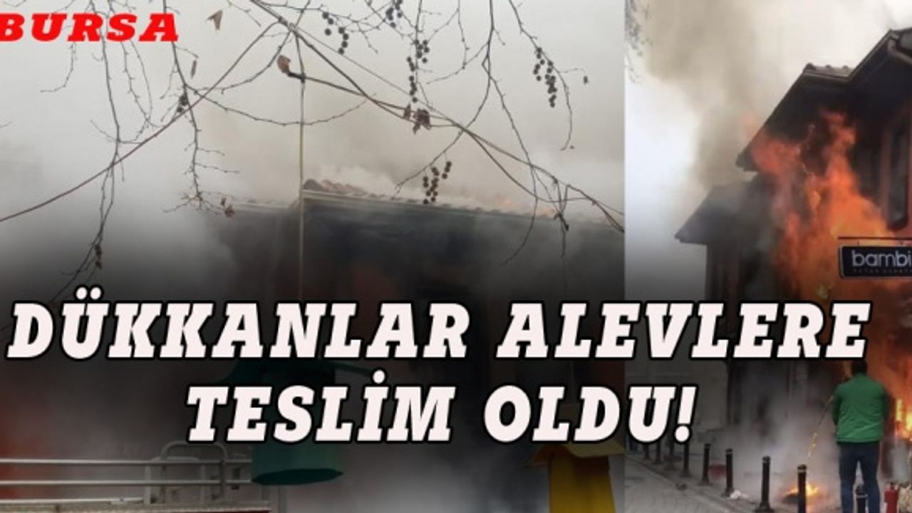 Bursa'daki dükkanlar alevlere teslim oldu!