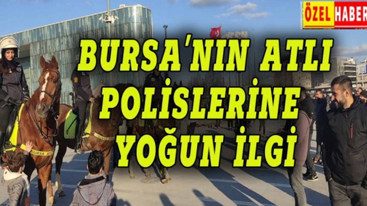 Bursa'nın atlı polislerine yoğun ilgi