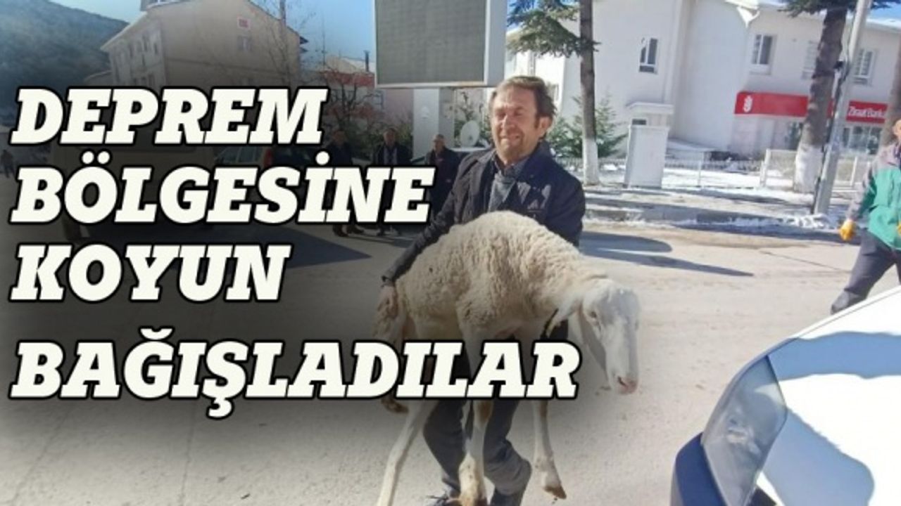 Bursa'daki çobanlar deprem bölgesine koyun bağışladı
