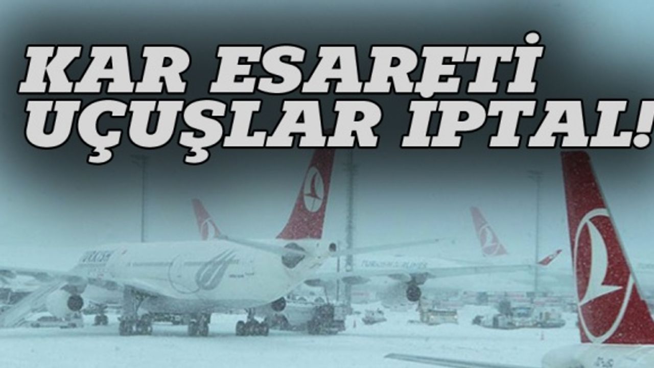 Kar yurdu esir aldı, 238 sefer iptal edildi
