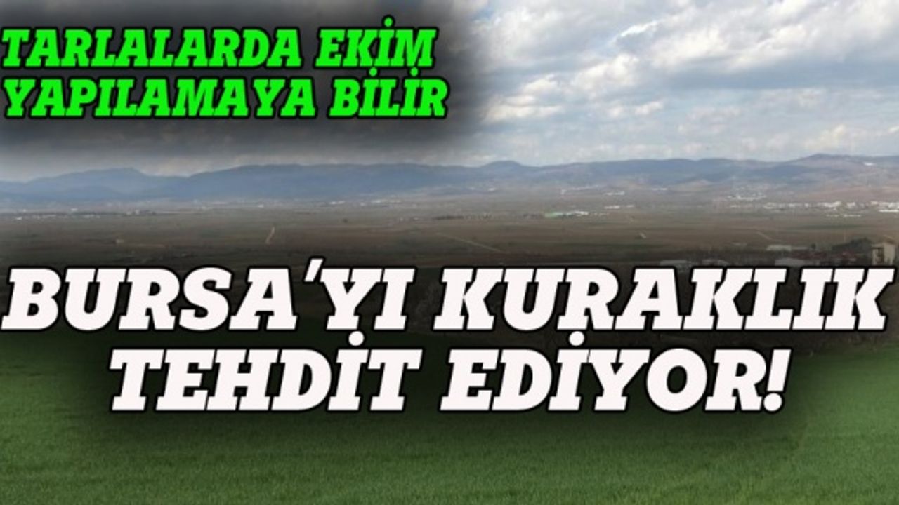 Bursa'yı kuraklık tehdit ediyor