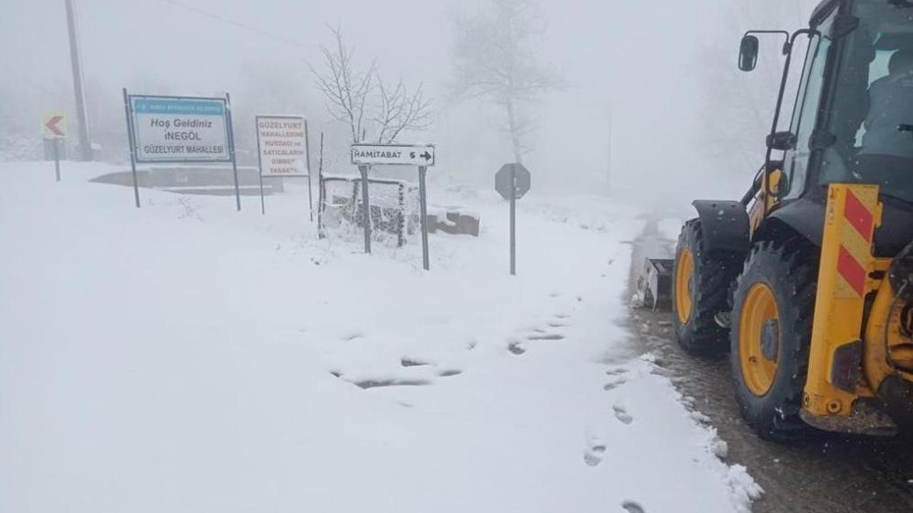 Bursa'da kar yolları kapadı!