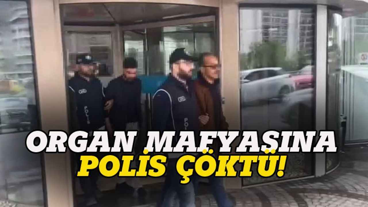İstanbul'da organ mafyasına polis çöktü!