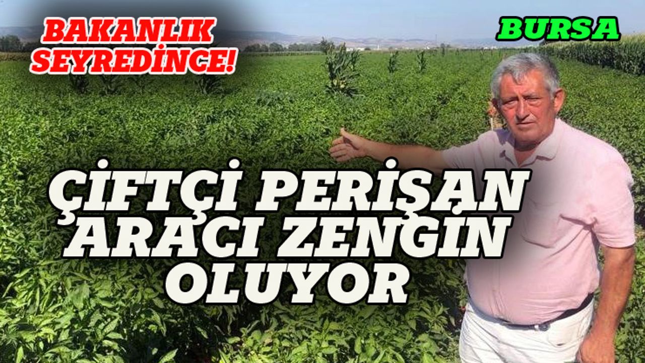 Bursa'da çiftçi perişan, aracı zengin oluyor!