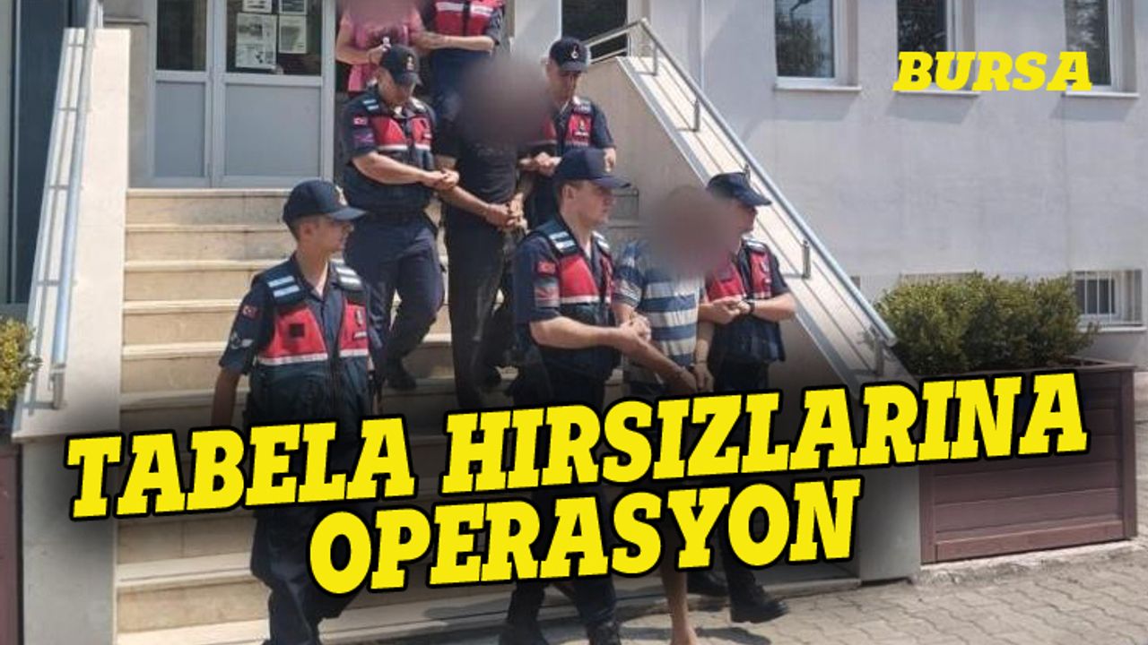 Bursa'da tabela hırsızlarına operasyon!