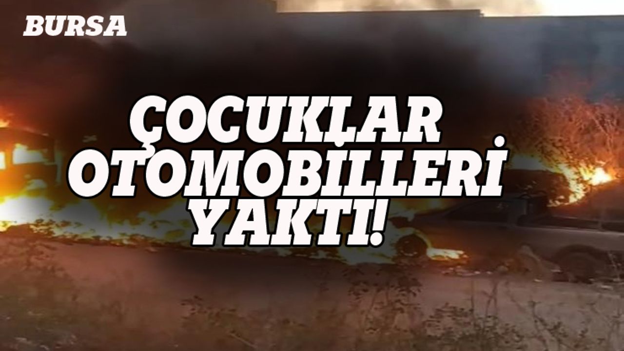 Bursa'da çocuklar otomobilleri yaktı!