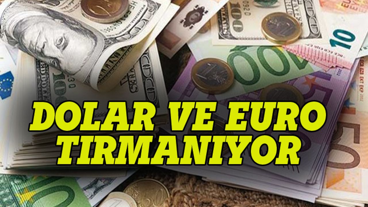 Euro ve dolar tırmanıyor