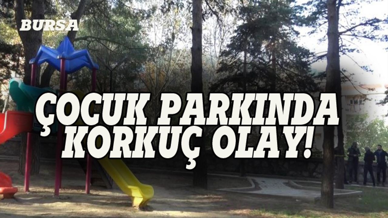Bursa'daki çocuk parkında korkunç olay!