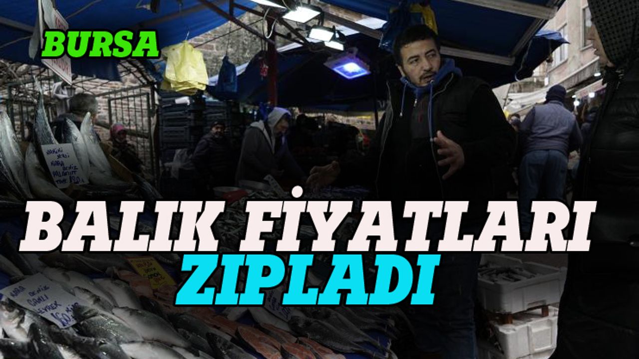 Bursa'da balık fiyatları zıpladı!