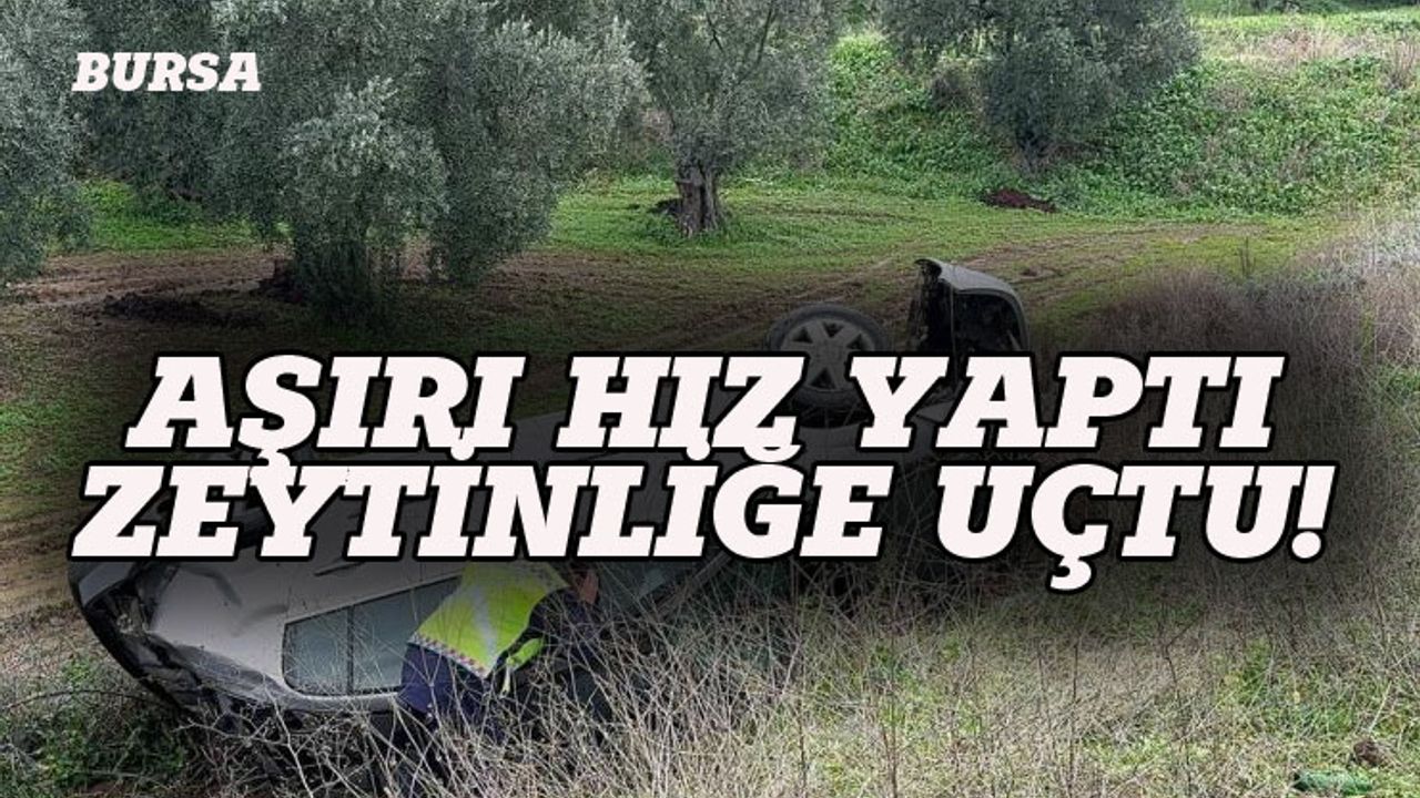 Bursa'da zeytinliğe uçan otomobil hurdaya döndü