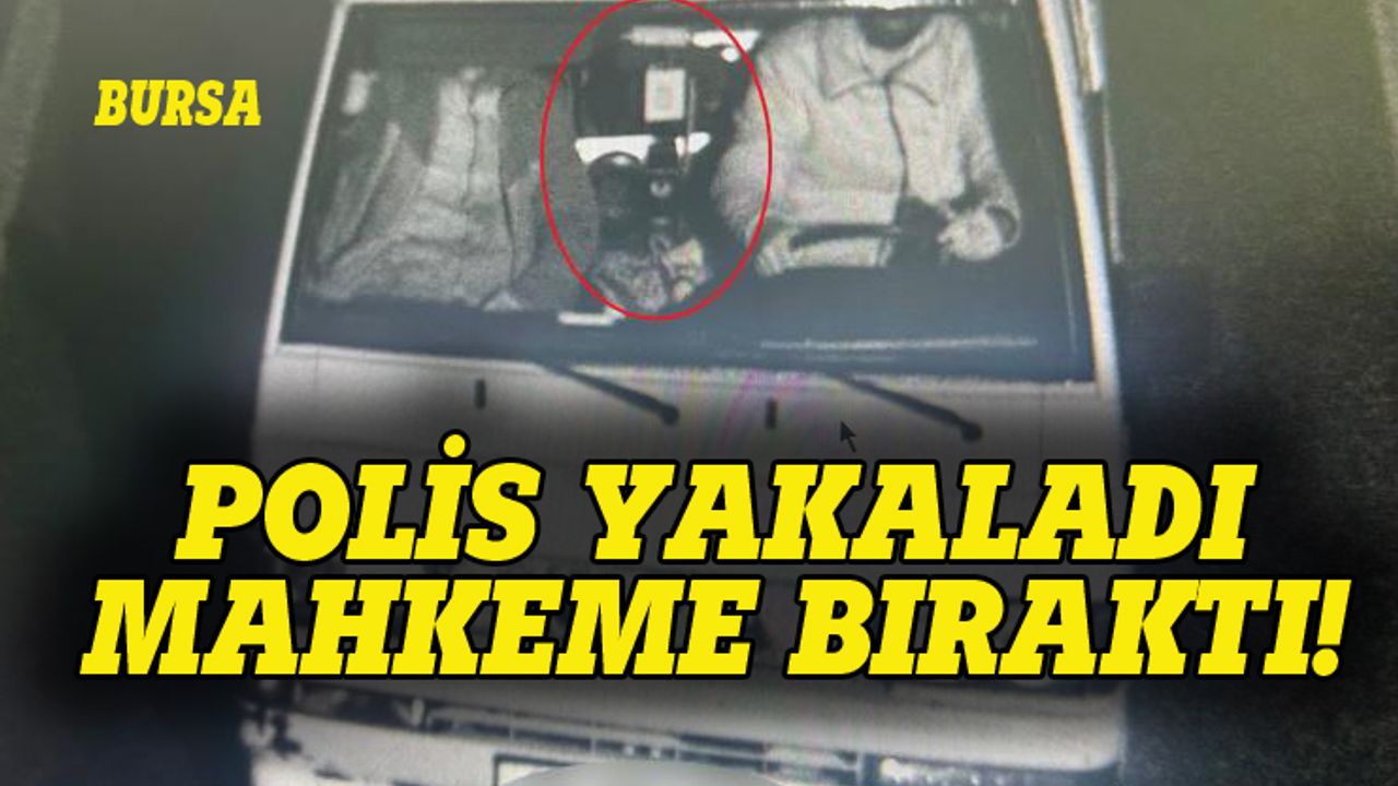 Bursa'da işyerinden televizyon çaldı, serbest bırakıldı!