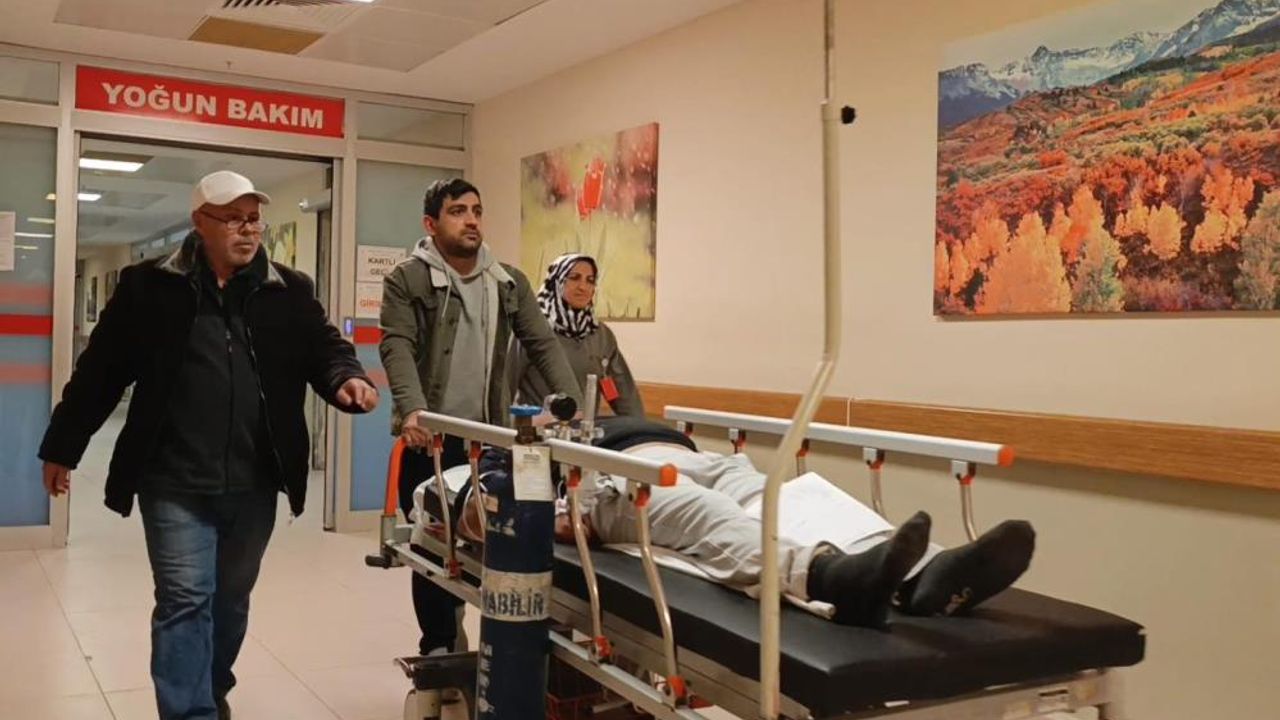 Bilmediği mantarı yedi, zehirlendi