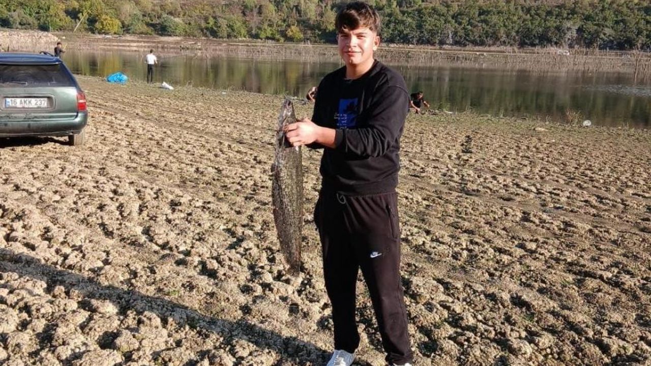Baraj suları çekildi, dev balıklar kıyıya vurdu