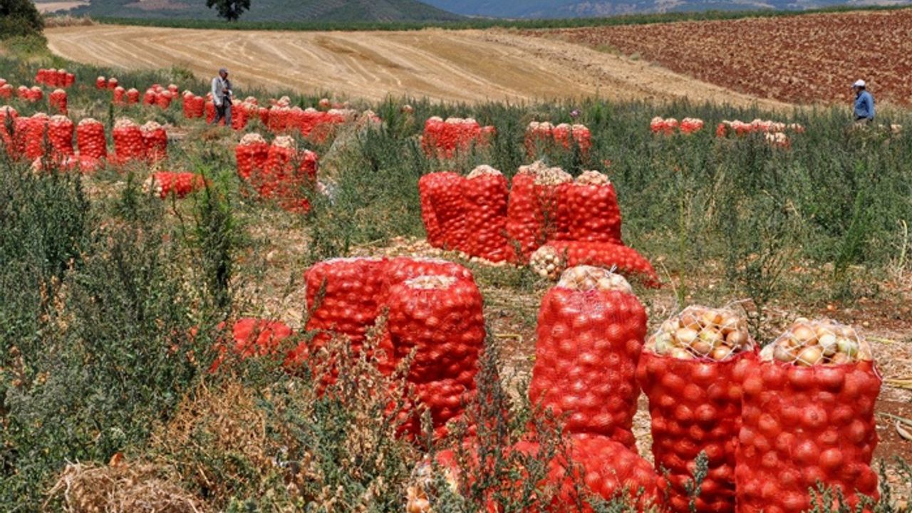Çiftçilerin geliri artacak