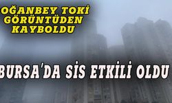 Bursa'da sis etkili oldu, Doğanbey Toki ortadan kayboldu!