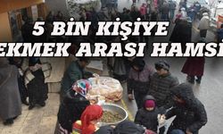 5 bin kişiye ekmek arası hamsi dağıttılar