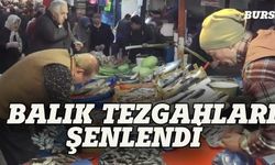 Bursa'da balık tezgahları şenlendi