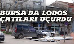 Bursa'da lodos etkili oluyor