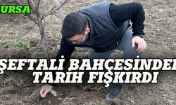 Bursa'daki şeftali bahçesinde tarih fışkırdı