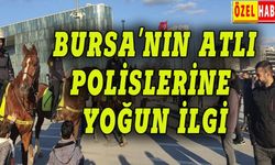 Bursa'nın atlı polislerine yoğun ilgi