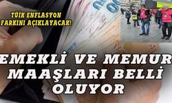 Emekli ve memur maaşları belli oluyor!