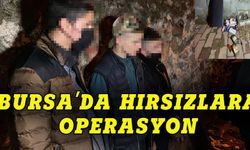 Esnafın malını çaldılar ama Bursa'da  bekçilerden kaçamadılar