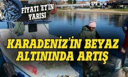 Karadeniz'in beyaz altınında artış var