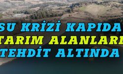 Su krizi kapıda, tarım alanları tehdit altında