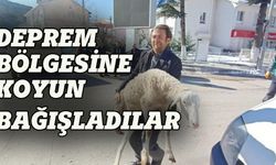 Bursa'daki çobanlar deprem bölgesine koyun bağışladı