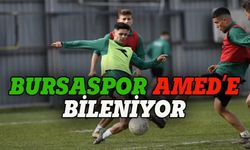 Bursaspor Amed'e bileniyor