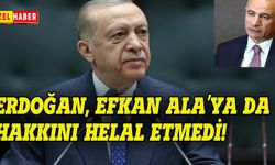 Erdoğan, Efkan Ala'ya da hakkını helal etmedi