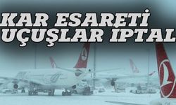 Kar yurdu esir aldı, 238 sefer iptal edildi