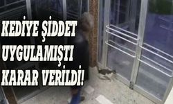 Kediye şiddet uygulamıştı, karar verildi