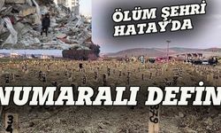 Ölüm şehri Hatay'da  numaralı defin!