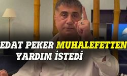 Sedat Peker, muhalefetten yardım istedi