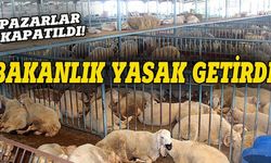 Bakanlık açıkladı,  hayvan pazarlarında büyük risk