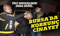 Bursa'da korkunç cinayet: 2 kişiyi ve köpeği öldürdü