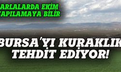 Bursa'yı kuraklık tehdit ediyor