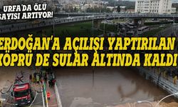 Erdoğan'a açılışı yaptırılan köprü sular altında kaldı