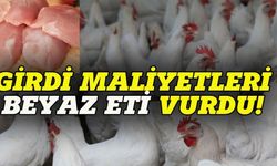 Girdi maliyetleri beyaz eti vurdu, üretim azaldı