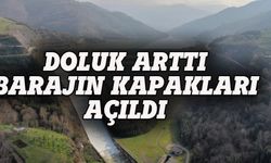 Kocaeli'de baraj kapakları açıldı