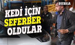 Bursa'da aracın motoruna sıkışan kedi için seferber oldular