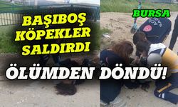 Bursa'daki köpekler kız çocuğuna saldırdı