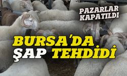 Bursa'da şap tehdidi, hayvan pazarları kapatıldı