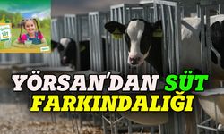 Yörsan'dan farkındalık: Sağlığınız için her gün süt içiyor musunuz?